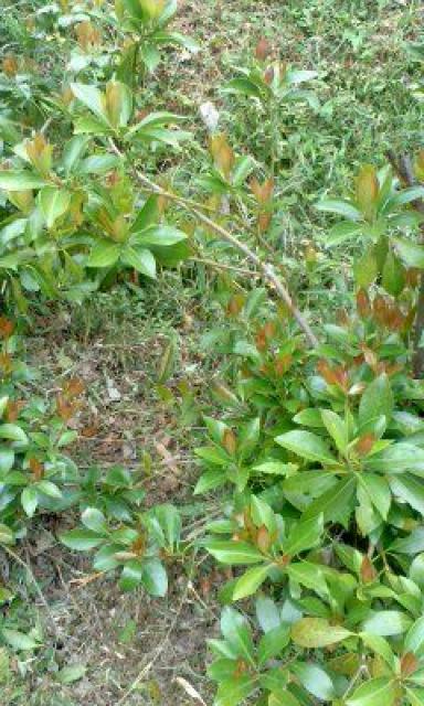 ^؂}^݁^P{POO~  ybg/|/| 