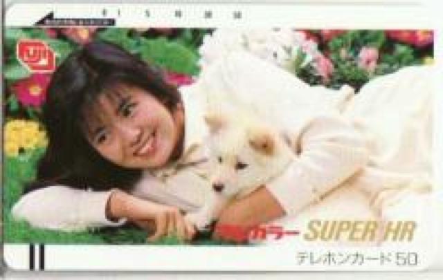 貴重〓南野陽子テレカフジカラー A < タレントグッズ 貴重〓南野陽子テレカフジカラー A < タレントグッズの