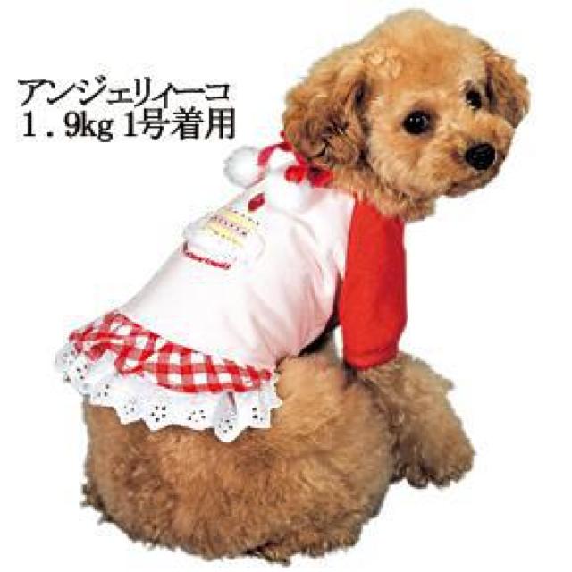 ポンポリース ケーキスイーツトップ 2号 (S) ピンク★新品〜3kg位 < ペット/手芸/園芸  ポンポリース ケーキスイーツトップ 2号 (S) ピンク★新品〜3kg位  < ペット/手芸/園芸の