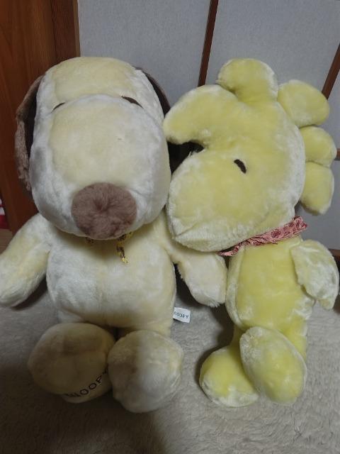 tt ʂ Xk[s[  EbhXgbN  gp    