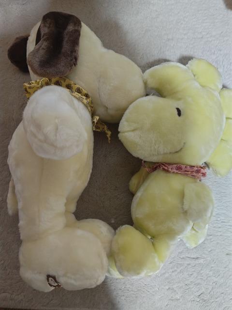 tt ʂ Xk[s[  EbhXgbN  gp   