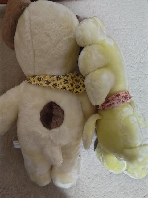 tt ʂ Xk[s[  EbhXgbN  gp   