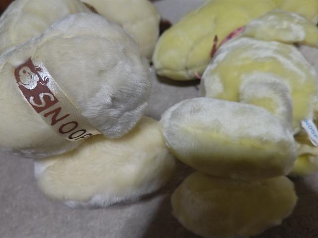 tt ʂ Xk[s[  EbhXgbN  gp   