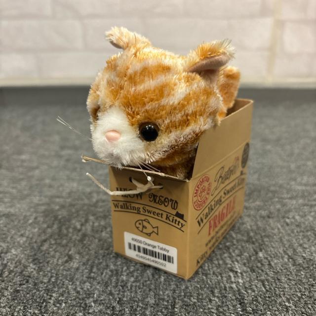  Vi Walking Sweet Kitty `g ʂ    