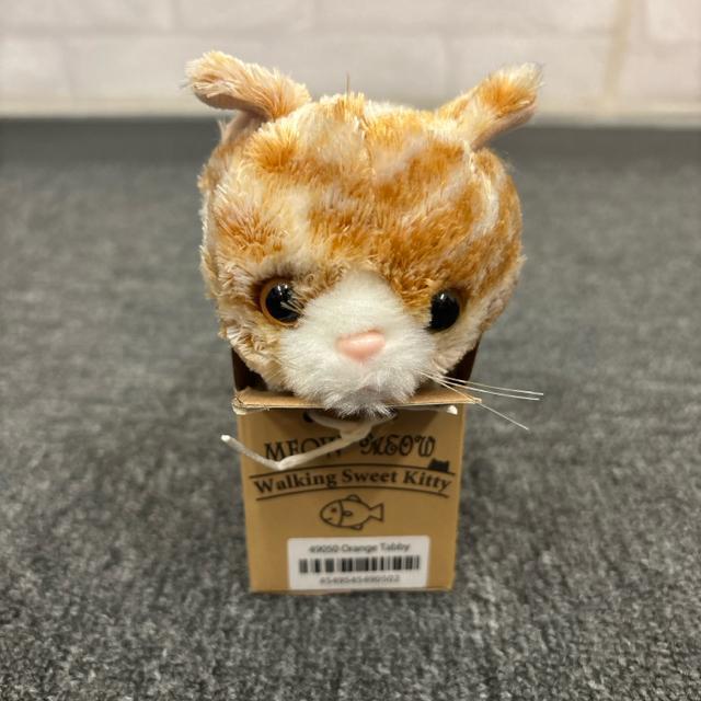  Vi Walking Sweet Kitty `g ʂ   