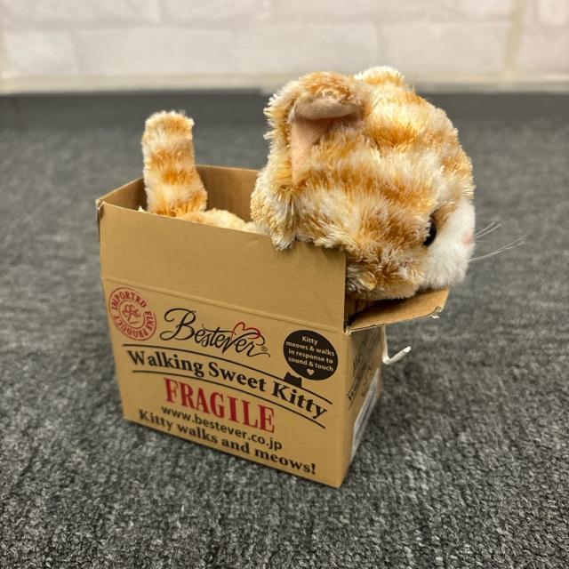  Vi Walking Sweet Kitty `g ʂ   