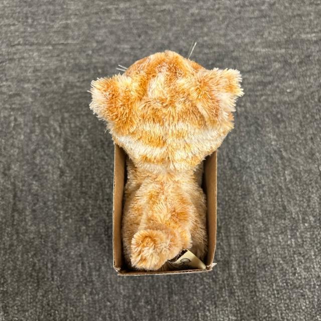  Vi Walking Sweet Kitty `g ʂ   