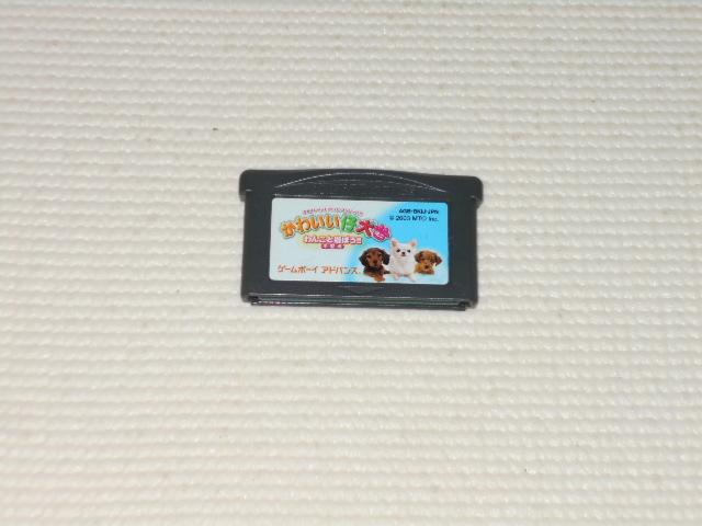 GBA★かわいい仔犬 ミニ わんこと遊ぼう!! 小型犬 端子清掃済み < ゲーム本体/ソフト  GBA★かわいい仔犬 ミニ わんこと遊ぼう!! 小型犬 端子清掃済み  < ゲーム本体/ソフトの