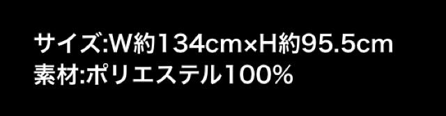 三代目JSBメンプロNAOTO・ブランケット < タレントグッズ  三代目JSBメンプロNAOTO・ブランケット < タレントグッズの
