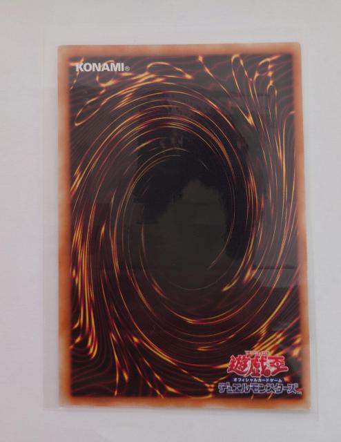 VYfGX^[Y ItBVJ[hQ[ d̕ 㩃J[h 73507661 741