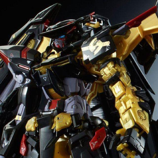 RG 1/144 ガンダムアストレイ ゴールドフレーム天(アマツ) < ホビー  RG 1/144 ガンダムアストレイ ゴールドフレーム天(アマツ)  < ホビーの