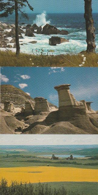 Ji_ X֊G͂81970N 3yF-4z   zr[ 