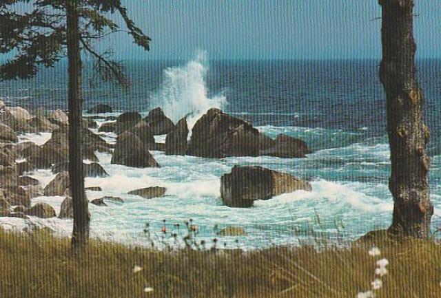 Ji_ X֊G͂81970N 3yF-4z  zr[ 