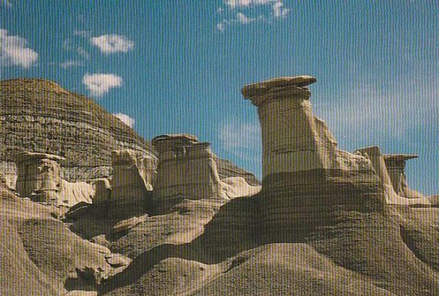 Ji_ X֊G͂81970N 3yF-4z  zr[ 