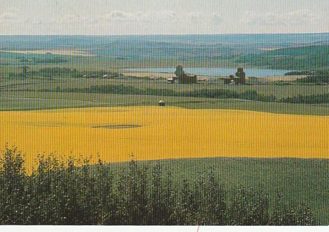 Ji_ X֊G͂81970N 3yF-4z  zr[ 