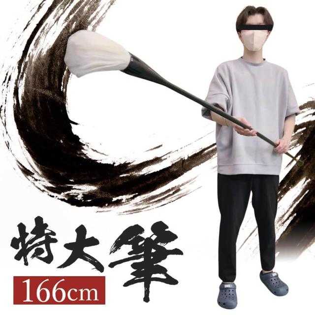 M  M ptH[}Xp 166cm  n` 厚 Bl   CeA/Ct 