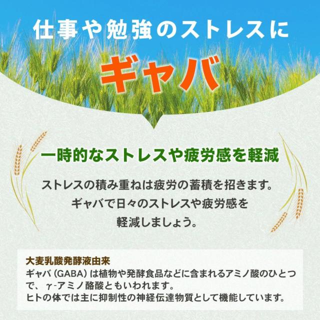 AFC ルテイン30 30日分 ×3袋 < ヘルス/ビューティー AFC ルテイン30 30日分 ×3袋 < ヘルス/ビューティーの