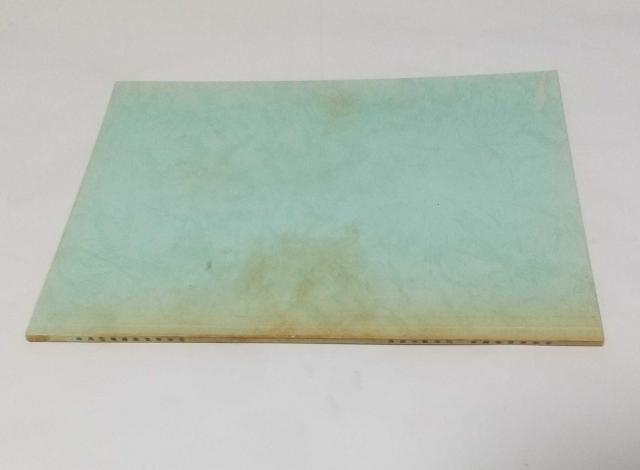 100nVdԁ@pҁ@菇\@100nVdԌ  {/G 