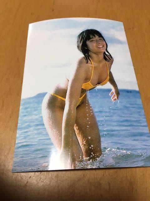 石田ゆり子 写真★12 < タレントグッズ 石田ゆり子 写真★12 < タレントグッズの