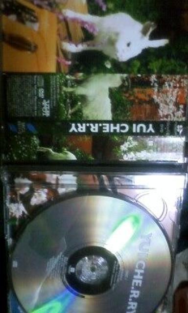 YUICDubgdDqDqxvŁBB  ^gObY 