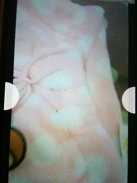 リらッくマらクかワパンツM ピンク系 ウエストゴム < ホビー  リらッくマらクかワパンツM ピンク系 ウエストゴム < ホビーの