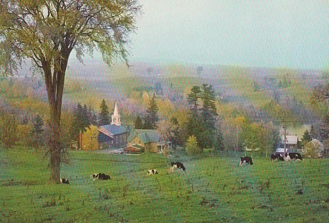 Ji_ X֊G͂81970N 3yF-5z  zr[ 