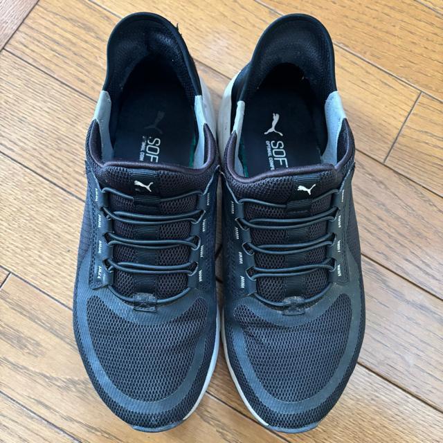 �X�j�[�J�[�@�v�[�}�@24 