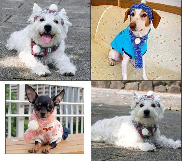 ̂ڂڂjbg}t[ S u[Vi  ybg/|/| 