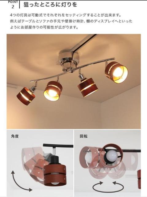 �����R���t���V�[�����O���C�g 4�� �@�u���E���@ LED �Ή� �X�|�b�g���C�g �� �Ɠd/AV�� 