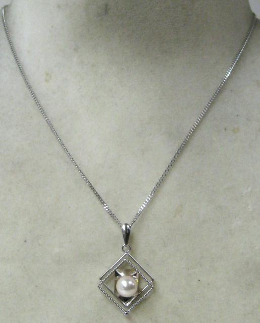 قږgp ANZT[ lbNX {p[ AR^  6.5mmt  ANZT[/v 