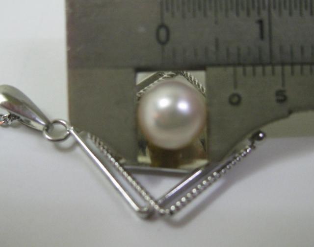 قږgp ANZT[ lbNX {p[ AR^  6.5mmt  ANZT[/v 