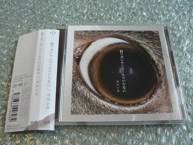 VJwɃAR[͂ȂxʏՁ^AoCD   ^gObY 