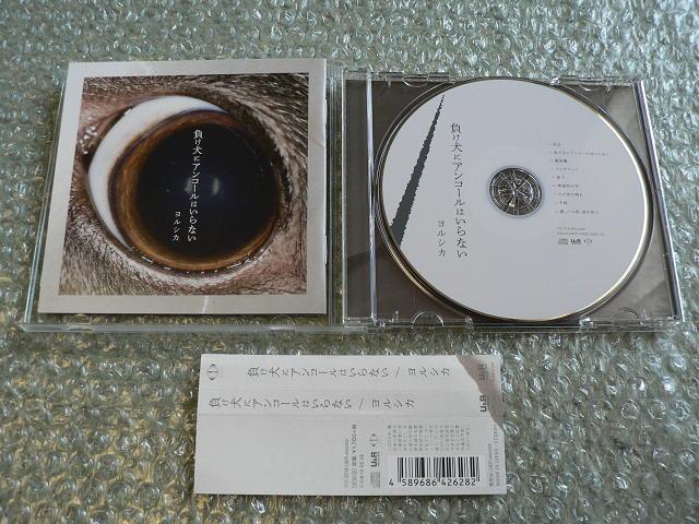 VJwɃAR[͂ȂxʏՁ^AoCD  ^gObY 