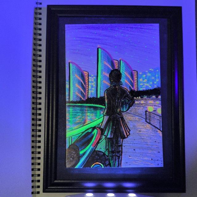 BLACKLIGHTmyPictureBOOK�AShangri-La�AA5�T�C�Y����2��  �� �z�r�[�� 