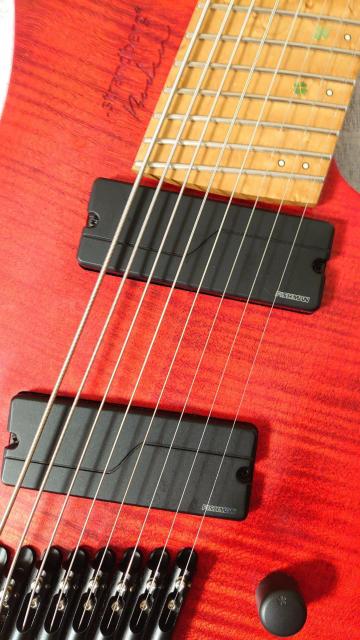 �G���L�M�^�[ strandberg borden original 8 Red �� �z�r�[�� 