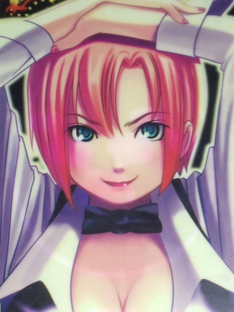 【パチスロ スーパーブラックジャック(リオ)】非売品クリアファイル < ホビー  【パチスロ スーパーブラックジャック(リオ)】非売品クリアファイル  < ホビーの