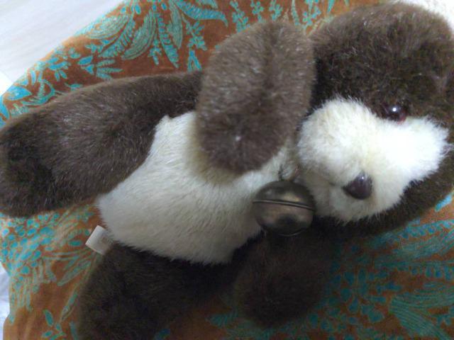 䂤pPbgւύXĒ܂/ag/Aj}x/N}//F/ʂ/AMUSE/iE(F)Ej   