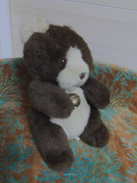 䂤pPbgւύXĒ܂/ag/Aj}x/N}//F/ʂ/AMUSE/iE(F)Ej   