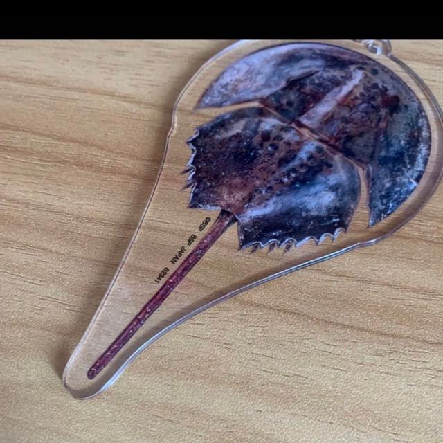 カブトガニ☆一番くじ☆キーホルダーチャーム < おもちゃ  カブトガニ☆一番くじ☆キーホルダーチャーム < おもちゃの