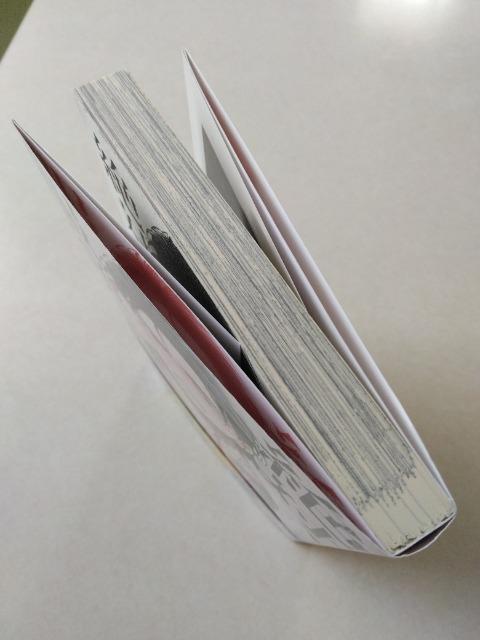 ��΁A���]���߁^���q �� �A�j��/�R�~�b�N/�L�����N�^�[�� 