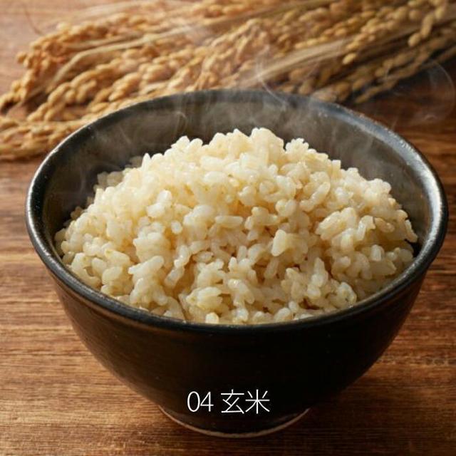 ★5合★ 炊飯器 シンプル 早炊き 玄米 お粥 炊飯 保温 ブラウン 他カラー有 < 家電/AV ★5合★ 炊飯器 シンプル 早炊き 玄米 お粥 炊飯 保温 ブラウン 他カラー有 < 家電/AVの