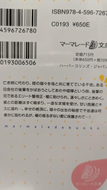 �圤�Ȍx�����͓�����قǂ̓M��������҂ɒ������k�M�t���}�[�}���[�h���� �� �{/�G���� 