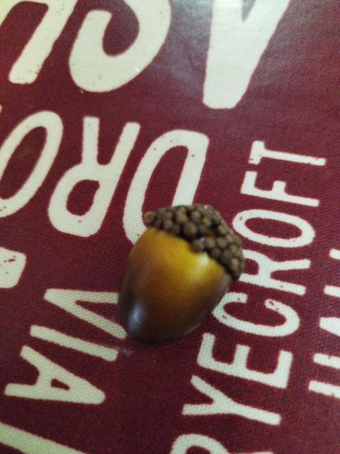 どんぐり < おもちゃ どんぐり < おもちゃの