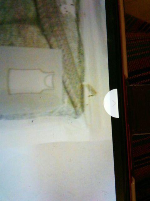 ゆ二クろネこちゃんタンクとっぷL グレー系 < 女性ファッション  ゆ二クろネこちゃんタンクとっぷL グレー系 < 女性ファッションの