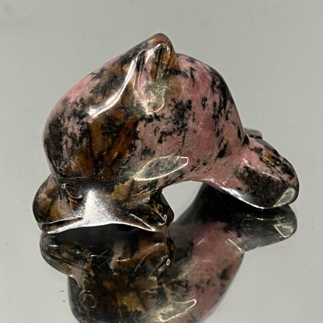 suNo.376tVR΃[hiCg@邩  CeA/Ct 