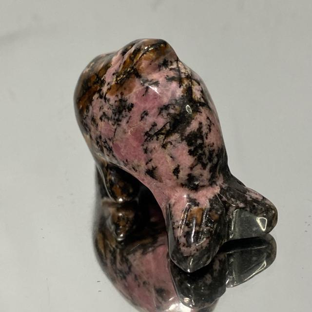 suNo.376tVR΃[hiCg@邩  CeA/Ct 