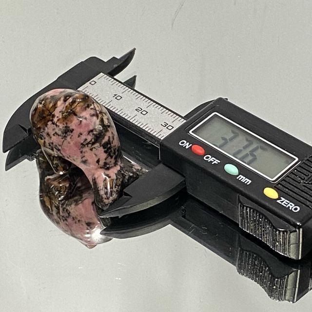 suNo.376tVR΃[hiCg@邩  CeA/Ct 