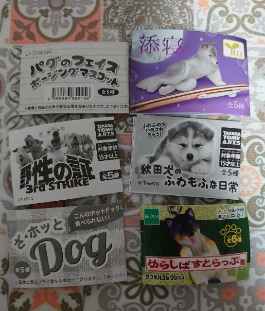 【定形外送料無料】ガチャガチャ○『犬』6点セット < ホビー 【定形外送料無料】ガチャガチャ○『犬』6点セット < ホビーの
