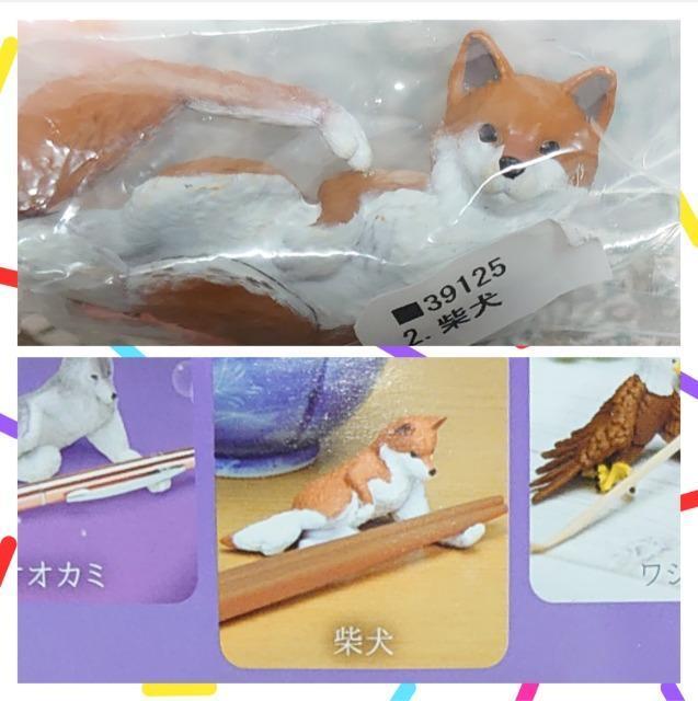 【定形外送料無料】ガチャガチャ○『犬』6点セット < ホビー 【定形外送料無料】ガチャガチャ○『犬』6点セット < ホビーの