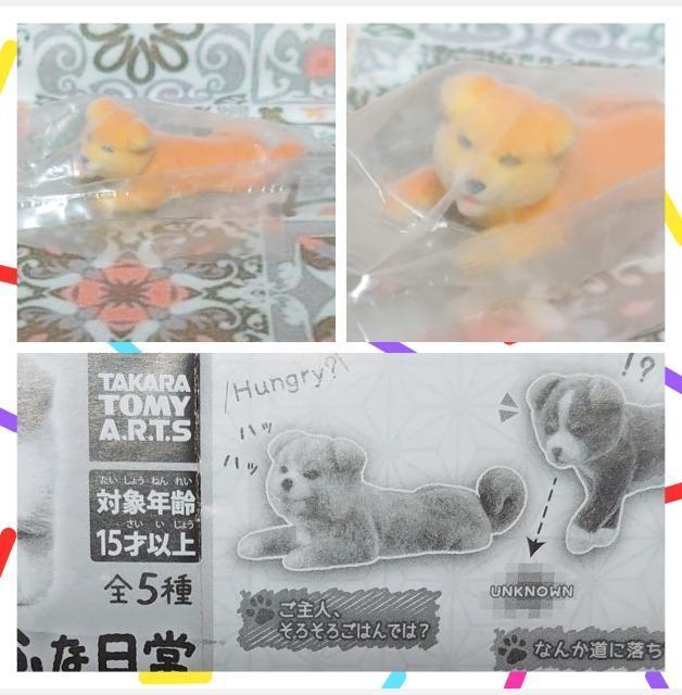 【定形外送料無料】ガチャガチャ○『犬』6点セット < ホビー 【定形外送料無料】ガチャガチャ○『犬』6点セット < ホビーの